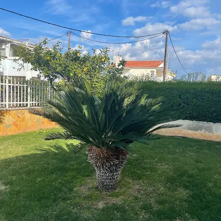 Orangerie - Where Luxury Meets Serenity * Káto Ássos