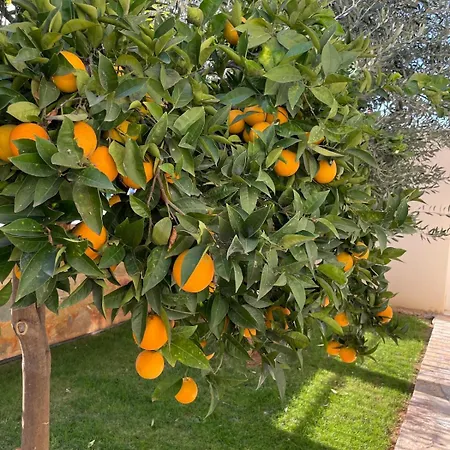 Βίλα Orangerie - Where Luxury Meets Serenity