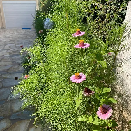 Βίλα Orangerie - Where Luxury Meets Serenity *