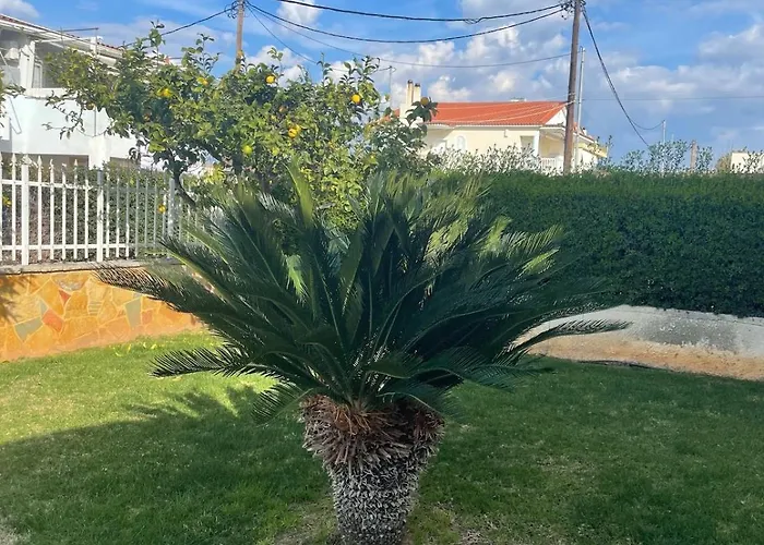 Orangerie - Where Luxury Meets Serenity * Káto Ássos